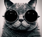 Uživatelský avatar