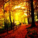 Uživatelský avatar